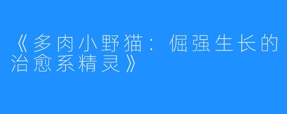 《多肉小野猫:倔强生长的治愈系精灵》