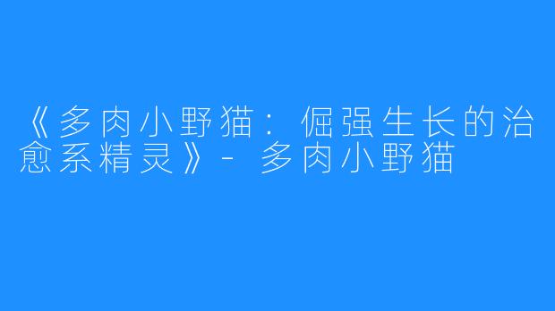 《多肉小野猫:倔强生长的治愈系精灵》-多肉小野猫