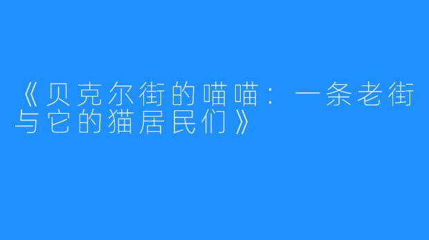 《贝克尔街的喵喵:一条老街与它的猫居民们》