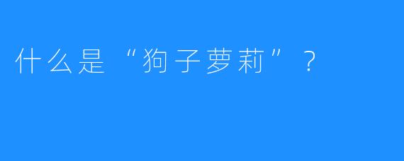 什么是“狗子萝莉”？