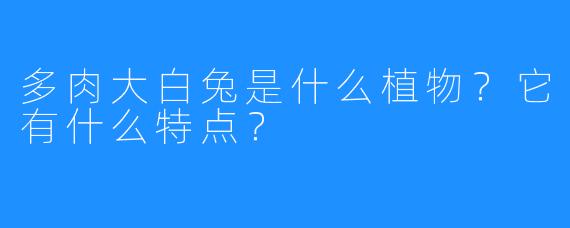 多肉大白兔是什么植物？它有什么特点？
