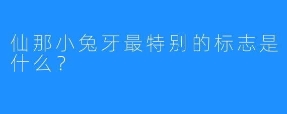 仙那小兔牙最特别的标志是什么？