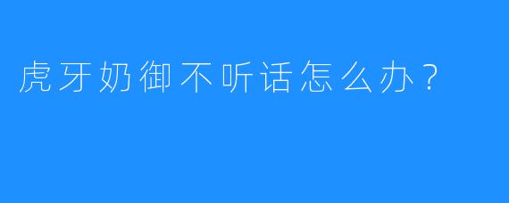 虎牙奶御不听话怎么办？