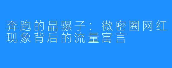 奔跑的晶骡子：微密圈网红现象背后的流量寓言