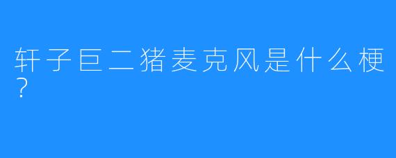 轩子巨二猪麦克风是什么梗？