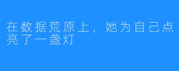 在数据荒原上，她为自己点亮了一盏灯