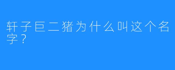 轩子巨二猪为什么叫这个名字？