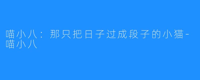 喵小八:那只把日子过成段子的小猫-喵小八